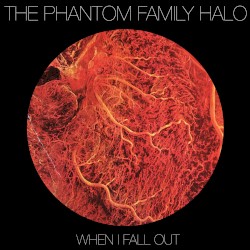 When I Fall Out