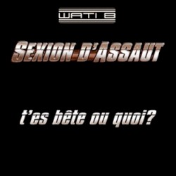 T'es bête ou quoi ?