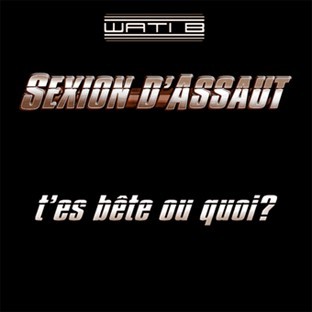 T'es bête ou quoi ?
