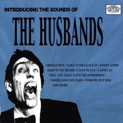 Introducing the Sounds of The Husbands