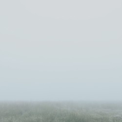 Landscape in Asleep