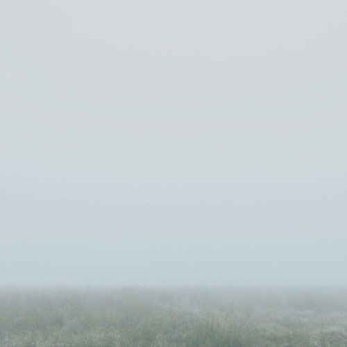 Landscape in Asleep