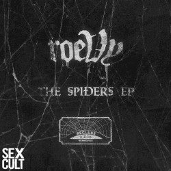 Spiders