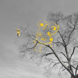rockets and birds