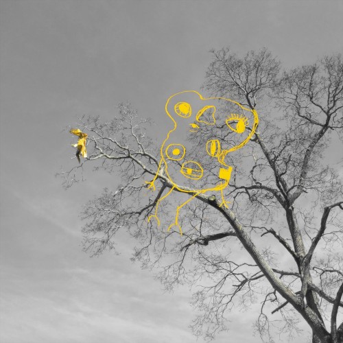 rockets and birds