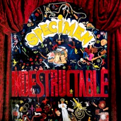 Indestructable