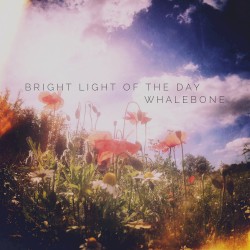 Bright Light of the Day