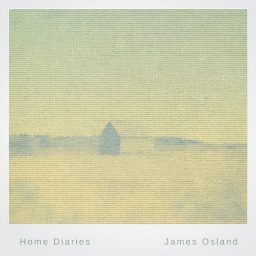 Home Diaries 012