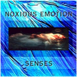 Senses