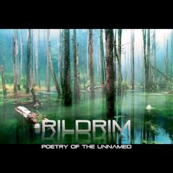 Poetry of the Unnamed