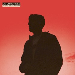 Silver Linings Remixed