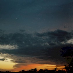 Orange Skies