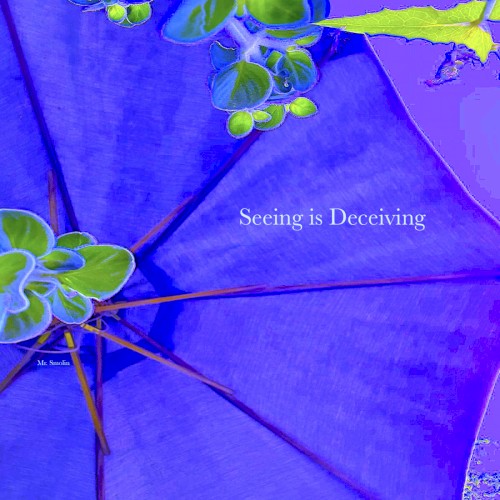 Seeing is Deceiving