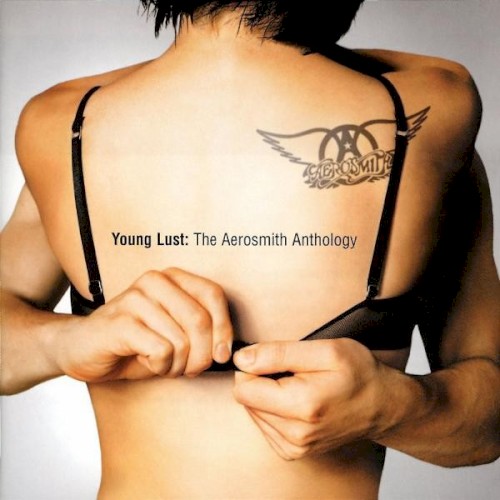 Young Lust: The Aerosmith Anthology