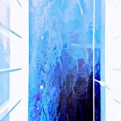 Issue
