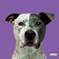 DUMB