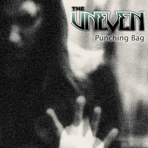 Punching Bag