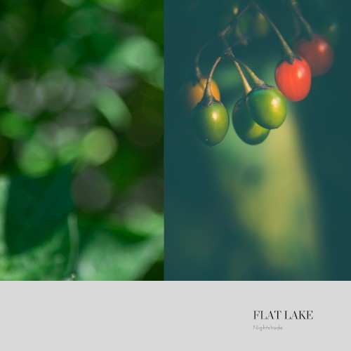 Nightshade