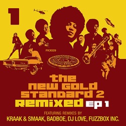 The New Gold Standard EP