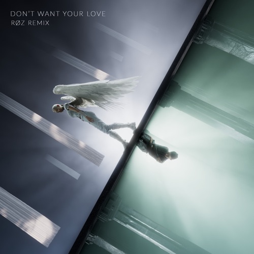 Don't Want Your Love
