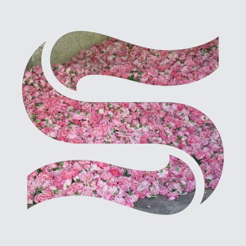 Step by Step EP