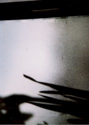 Dove finiscono le cose invisibili