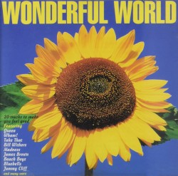 Wonderful World