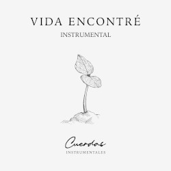 Vida Encontré Instrumental