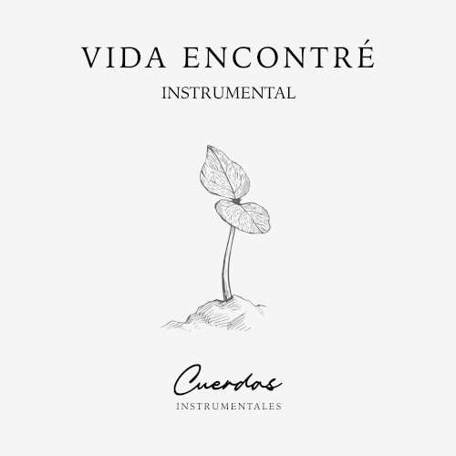 Vida Encontré Instrumental