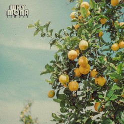lemons