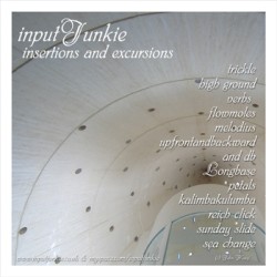 Insertions and Excursions