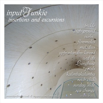 Insertions and Excursions