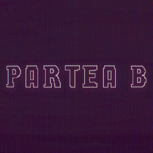 Partea B