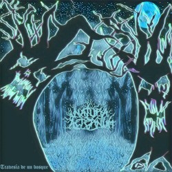 Travesía de un bosque