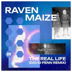 The Real Life (David Penn Remix)
