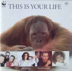 This Is Your Life