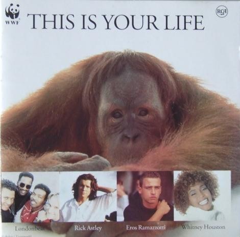 This Is Your Life