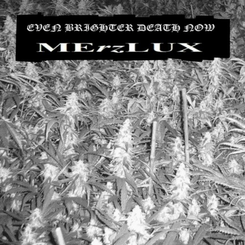 Weed Problem 3