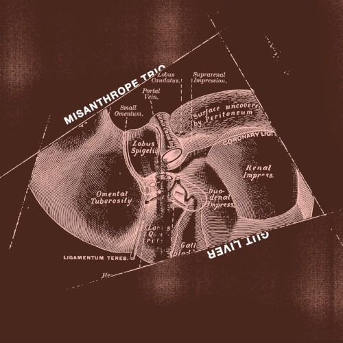 Gut Liver