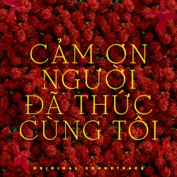 Cảm Ơn Người Đã Thức Cùng Tôi