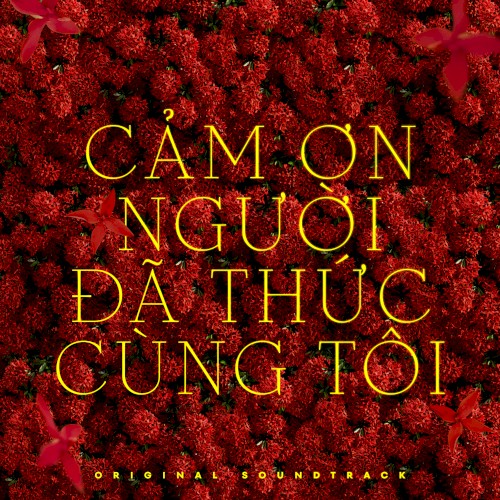 Cảm Ơn Người Đã Thức Cùng Tôi