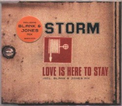 Love Is Here to Stay