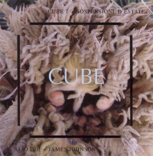 Cube 7: Sospensione d'estate