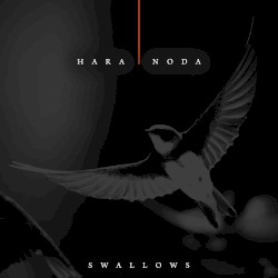 Swallows
