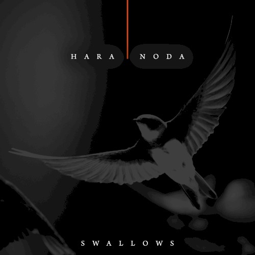 Swallows