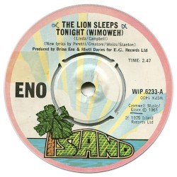 The Lion Sleeps Tonight