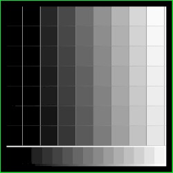 The Gray Scale (For MsW)
