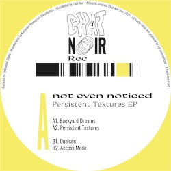Persistent Textures