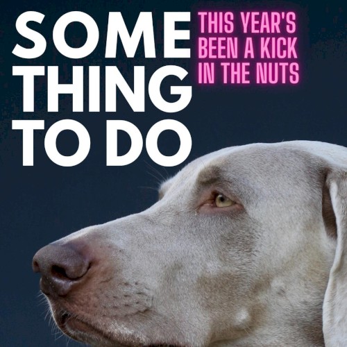 This Year's Been a Kick in the Nuts