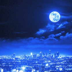 Dream City Vol.2